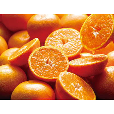 静岡県産みかん・三ケ日産アルギットみかん